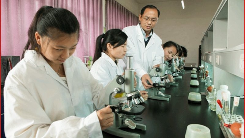 天然植物提取物：价格背后的考量因素