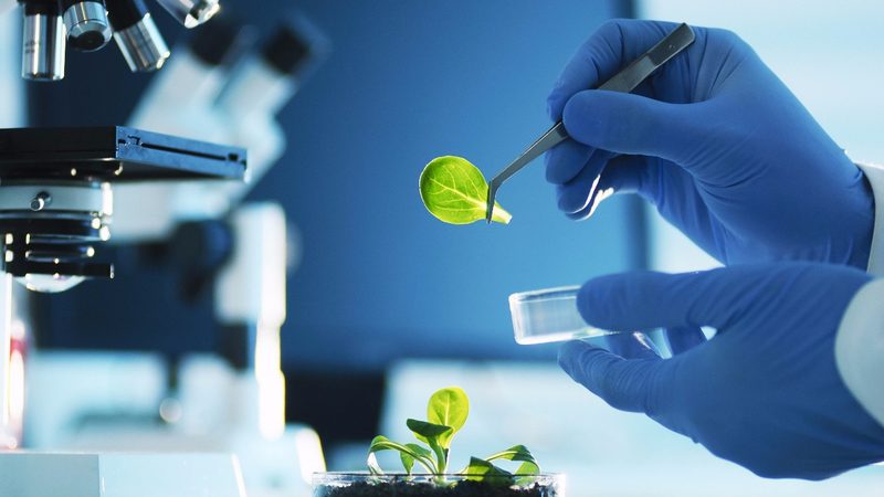 植物提取物与化学提取物的本质区别解析