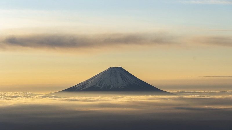 医药流通企业合规检查怎么做