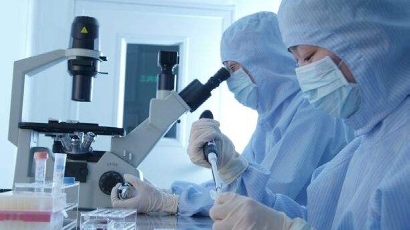 中药提取物代理加盟，合同模板中的关键要素